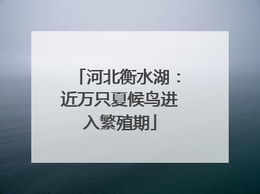 河北衡水湖：近万只夏候鸟进入繁殖期
