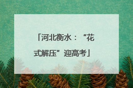 河北衡水：“花式解压”迎高考