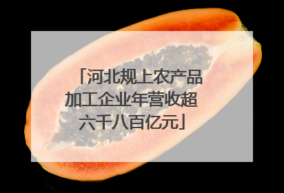 河北规上农产品加工企业年营收超六千八百亿元