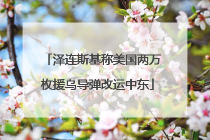 泽连斯基称美国两万枚援乌导弹改运中东