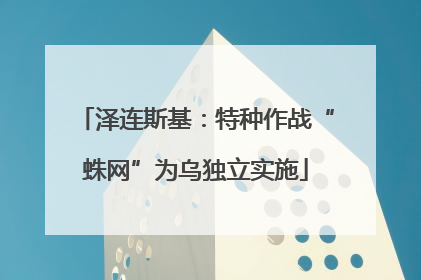 泽连斯基：特种作战“蛛网”为乌独立实施