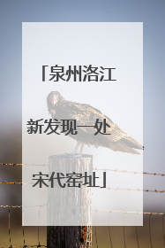 泉州洛江新发现一处宋代窑址