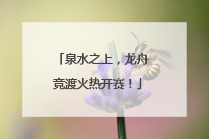 泉水之上，龙舟竞渡火热开赛！