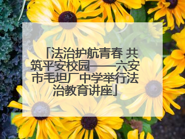 法治护航青春 共筑平安校园——六安市毛坦厂中学举行法治教育讲座