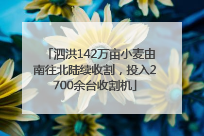 泗洪142万亩小麦由南往北陆续收割，投入2700余台收割机