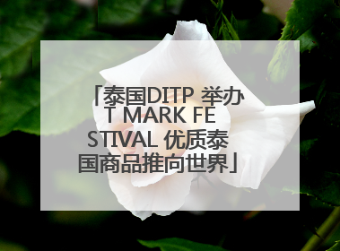 泰国DITP 举办 T MARK FESTIVAL 优质泰国商品推向世界
