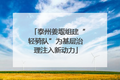 泰州姜堰组建“轻骑队”为基层治理注入新动力