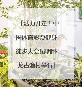 活力开走！中国体育彩票健身徒步大会昆明卧龙古渔村举行