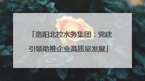 洛阳北控水务集团：党建引领助推企业高质量发展