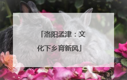 洛阳孟津：文化下乡育新风