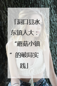 洞口县水东镇人大：“蘑菇小镇”的破局实践