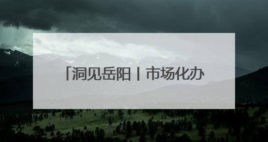 洞见岳阳丨市场化办会的“岳阳模式”