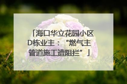 海口华立花园小区D栋业主：“燃气主管道施工遭阻拦”