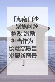 海南白沙：聚焦问题整改 激励担当作为 绘就高质量发展新图景