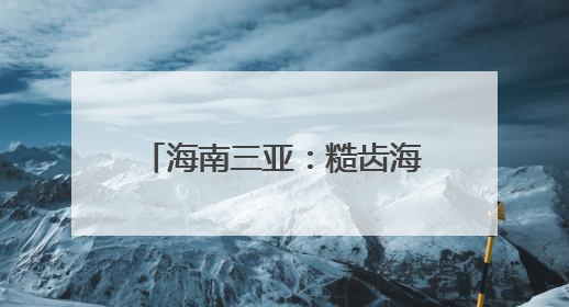 海南三亚：糙齿海豚被成功放归大海