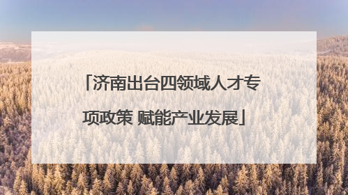 济南出台四领域人才专项政策 赋能产业发展