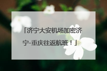 济宁大安机场加密济宁-重庆往返航班！