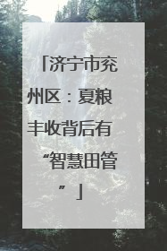 济宁市兖州区：夏粮丰收背后有“智慧田管”