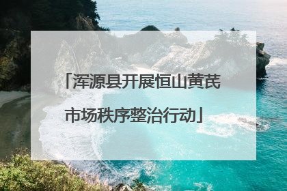 浑源县开展恒山黄芪市场秩序整治行动