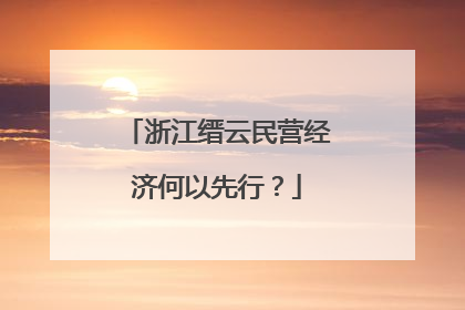 浙江缙云民营经济何以先行？