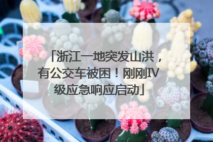 浙江一地突发山洪，有公交车被困！刚刚Ⅳ级应急响应启动