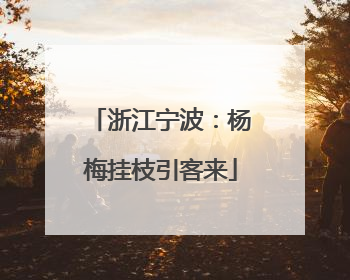 浙江宁波：杨梅挂枝引客来