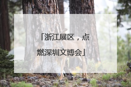 浙江展区，点燃深圳文博会