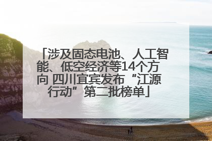 涉及固态电池、人工智能、低空经济等14个方向 四川宜宾发布“江源行动”第二批榜单