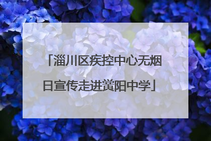 淄川区疾控中心无烟日宣传走进黉阳中学