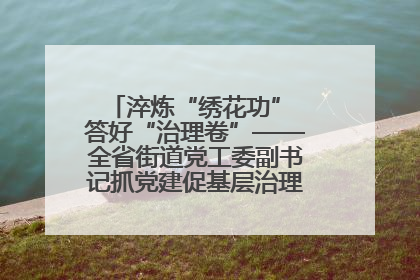 淬炼“绣花功” 答好“治理卷”——全省街道党工委副书记抓党建促基层治理培训示范班侧记