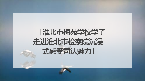 淮北市梅苑学校学子走进淮北市检察院沉浸式感受司法魅力