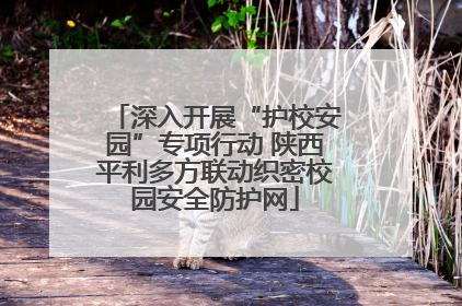 深入开展“护校安园”专项行动 陕西平利多方联动织密校园安全防护网