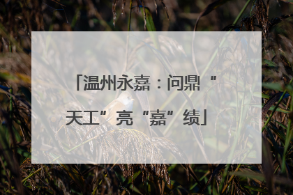 温州永嘉：问鼎“天工”亮“嘉”绩