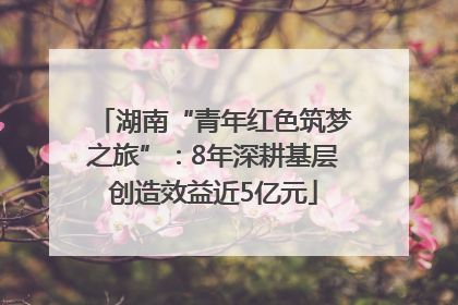 湖南“青年红色筑梦之旅”：8年深耕基层创造效益近5亿元