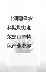 湖南省农科院助力湘东黑山羊特色产业发展