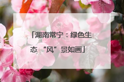 湖南常宁：绿色生态 “风”景如画
