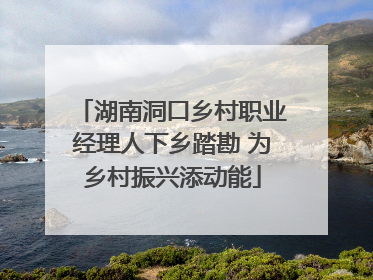 湖南洞口乡村职业经理人下乡踏勘 为乡村振兴添动能