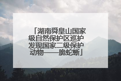 湖南舜皇山国家级自然保护区巡护发现国家二级保护动物——脆蛇蜥