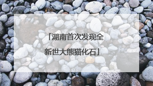 湖南首次发现全新世大熊猫化石
