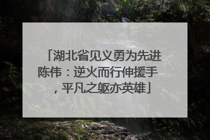 湖北省见义勇为先进陈伟：逆火而行伸援手，平凡之躯亦英雄