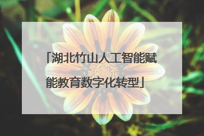 湖北竹山人工智能赋能教育数字化转型