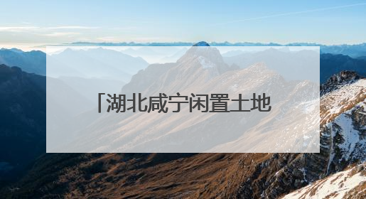 湖北咸宁闲置土地激活产业新动能