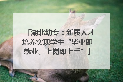 湖北幼专：新质人才培养实现学生“毕业即就业、上岗即上手”