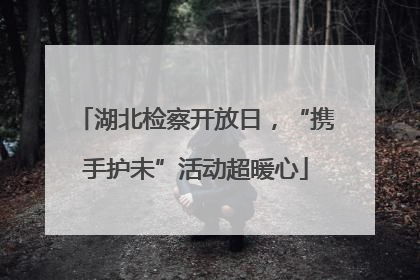 湖北检察开放日，“携手护未”活动超暖心