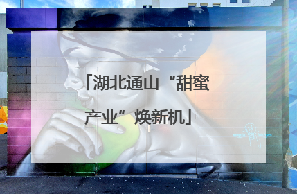 湖北通山“甜蜜产业”焕新机
