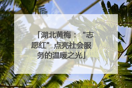 湖北黄梅：“志愿红”点亮社会服务的温暖之光