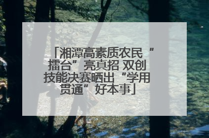 湘潭高素质农民“擂台”亮真招 双创技能决赛晒出“学用贯通”好本事
