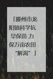 滕州市龙阳镇科学抗旱保苗 力保万亩农田“解渴”
