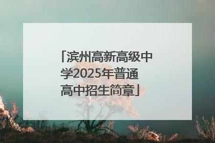滨州高新高级中学2025年普通高中招生简章