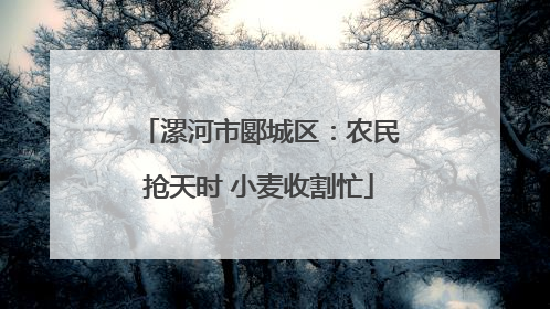 漯河市郾城区：农民抢天时 小麦收割忙